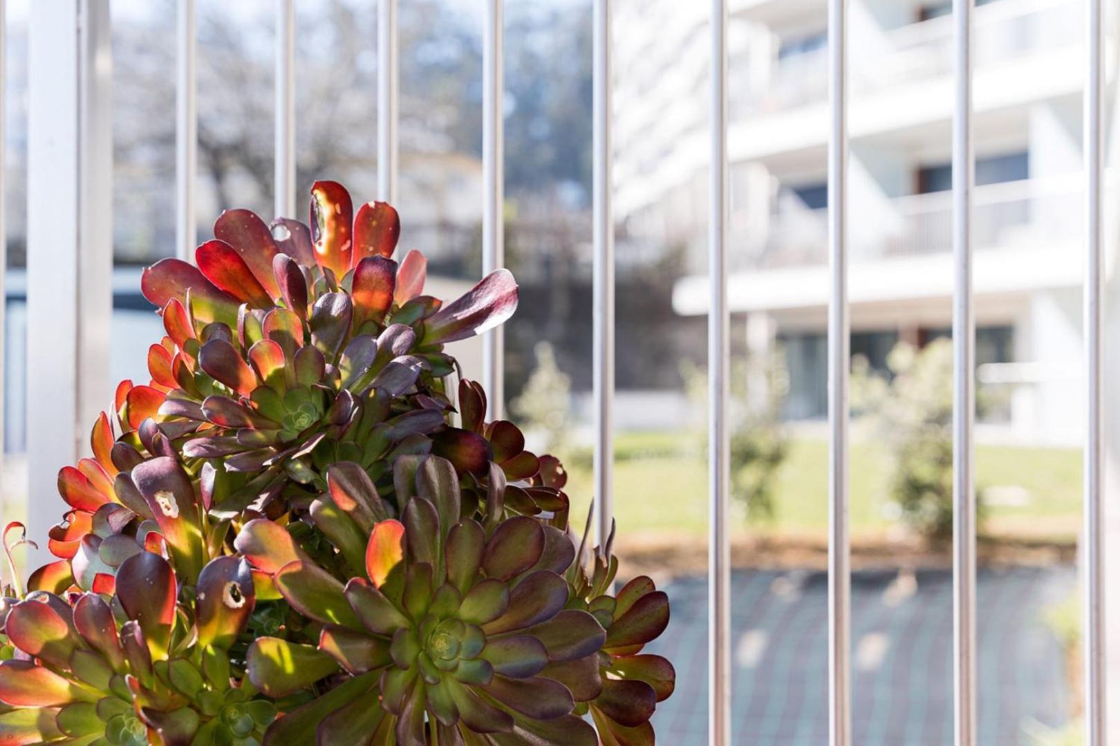 Guestready - Ideal Stay Near Estadio Do Dragao Porto Dış mekan fotoğraf